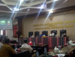 RDP Gabungan DPRD NTT:  Rekomendasikan Segera  Kirim Ternak Babi ke Sumba
