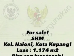 BURUAN, Tanah Strategis Seluas 1.174 M² di Naioni Kupang Ditawarkan, Dekat Rumah Sakit Ben Boy, Bandara, dan Pelabuhan Tenau
