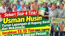 Sisir 4 Titik di Kabupaten Kupang hingga Nekamese, Usman Husin Salurkan Belasan Ton Bantuan Bibit Jagung Hibrida