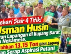 Sisir 4 Titik di Kabupaten Kupang hingga Nekamese, Usman Husin Salurkan Belasan Ton Bantuan Bibit Jagung Hibrida